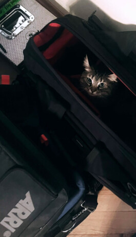 Logo Website Juliane Haerendel Fotografin München