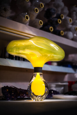 Logo Website Juliane Haerendel Fotografin München