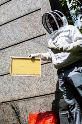 Logo Website Juliane Haerendel Fotografin München