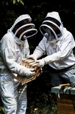 Logo Website Juliane Haerendel Fotografin München