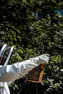 Logo Website Juliane Haerendel Fotografin München