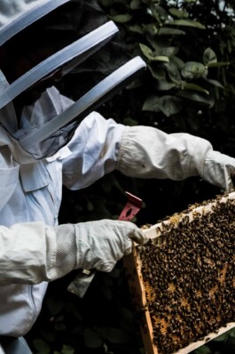 Logo Website Juliane Haerendel Fotografin München