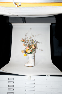 Logo Website Juliane Haerendel Fotografin München