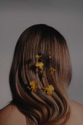 Logo Website Juliane Haerendel Fotografin München