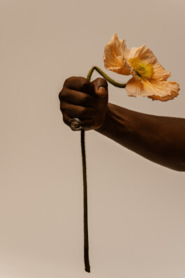 Logo Website Juliane Haerendel Fotografin München