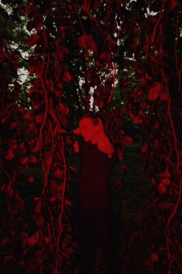 Logo Website Juliane Haerendel Fotografin München