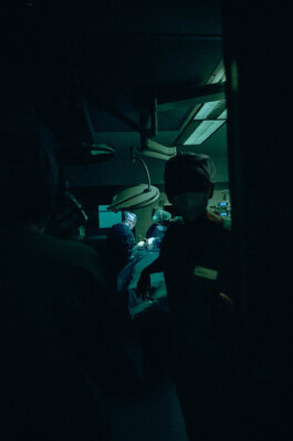 Logo Website Juliane Haerendel Fotografin München