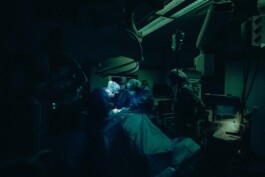 Logo Website Juliane Haerendel Fotografin München