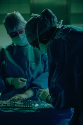 Logo Website Juliane Haerendel Fotografin München