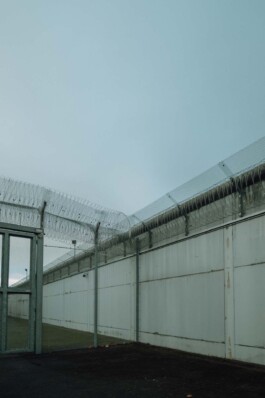 Logo Website Juliane Haerendel Fotografin München