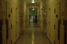 Logo Website Juliane Haerendel Fotografin München