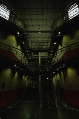 Logo Website Juliane Haerendel Fotografin München