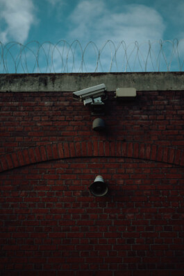 Logo Website Juliane Haerendel Fotografin München