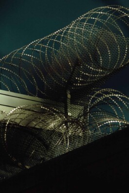 Logo Website Juliane Haerendel Fotografin München