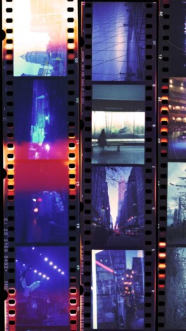 Logo Website Juliane Haerendel Fotografin München