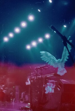 Logo Website Juliane Haerendel Fotografin München