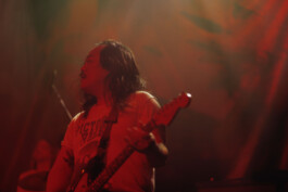 Logo Website Juliane Haerendel Fotografin München