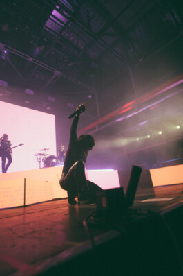 Logo Website Juliane Haerendel Fotografin München