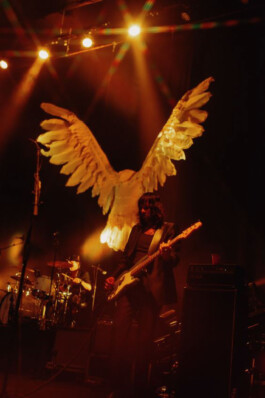 Logo Website Juliane Haerendel Fotografin München