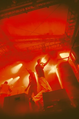 Logo Website Juliane Haerendel Fotografin München