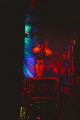 Logo Website Juliane Haerendel Fotografin München