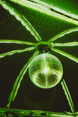 Logo Website Juliane Haerendel Fotografin München